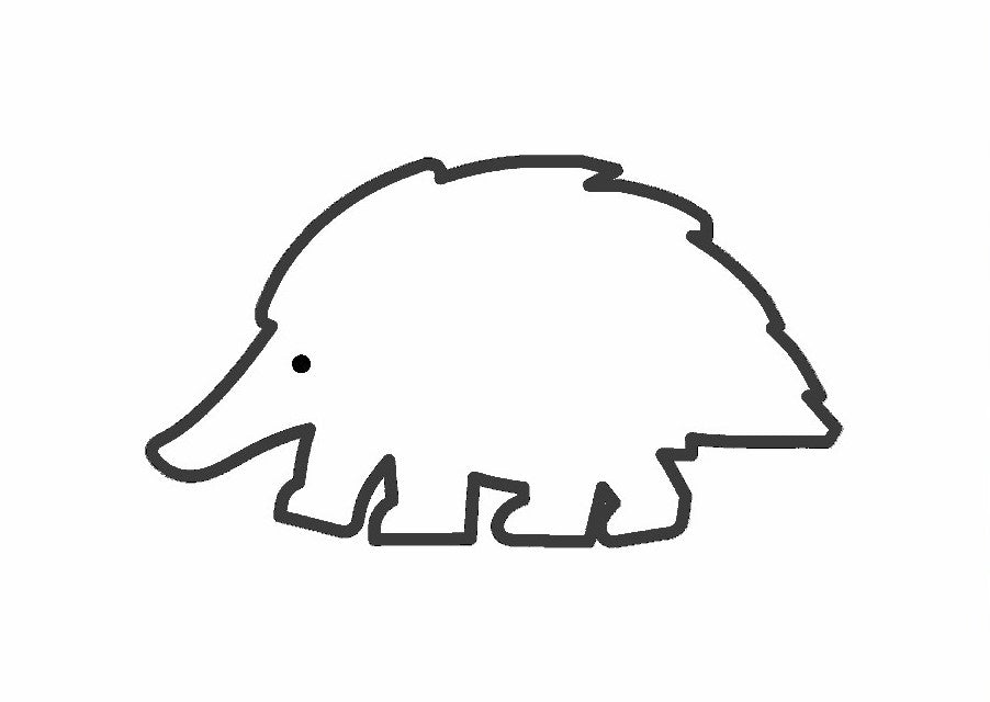 Bottle Opener with Australian Wildlife and magnet